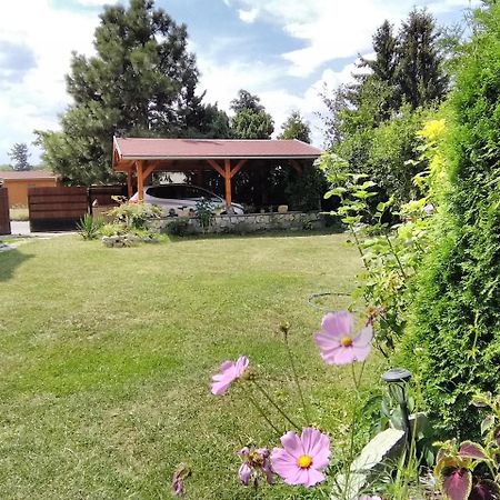 Sophia Cozy Self Catering Apartment Dolni Brezany Exterior photo