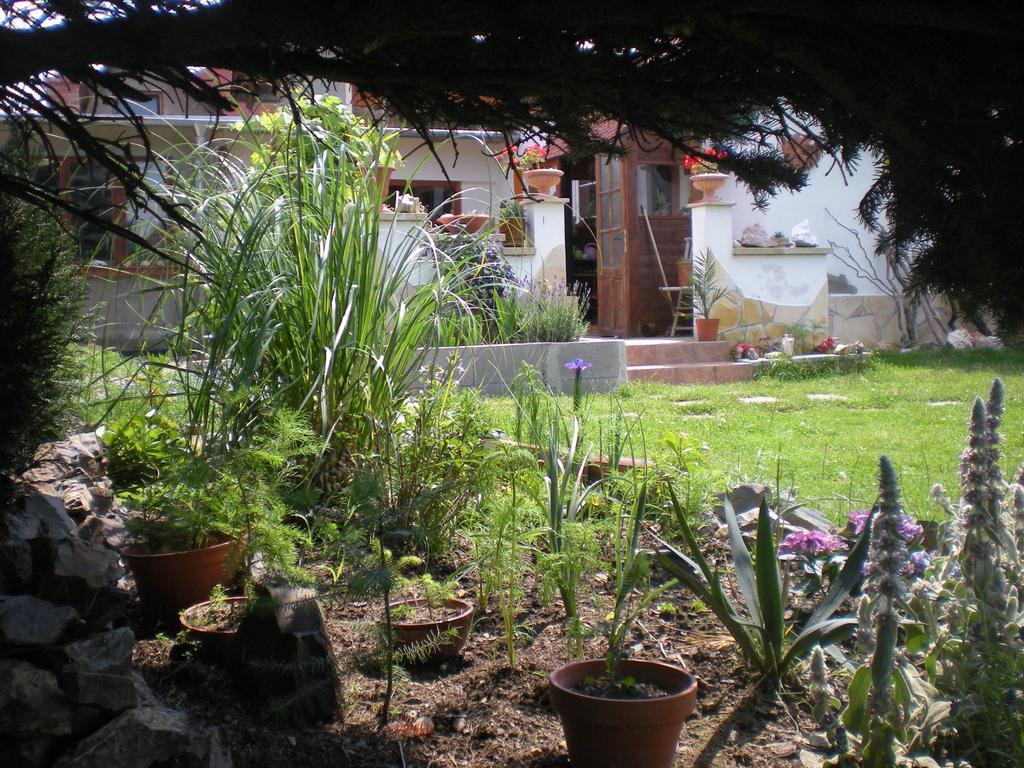 Sophia Cozy Self Catering Apartment Dolni Brezany Exterior photo
