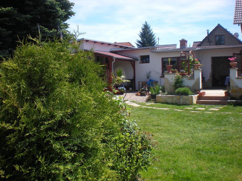 Sophia Cozy Self Catering Apartment Dolni Brezany Exterior photo