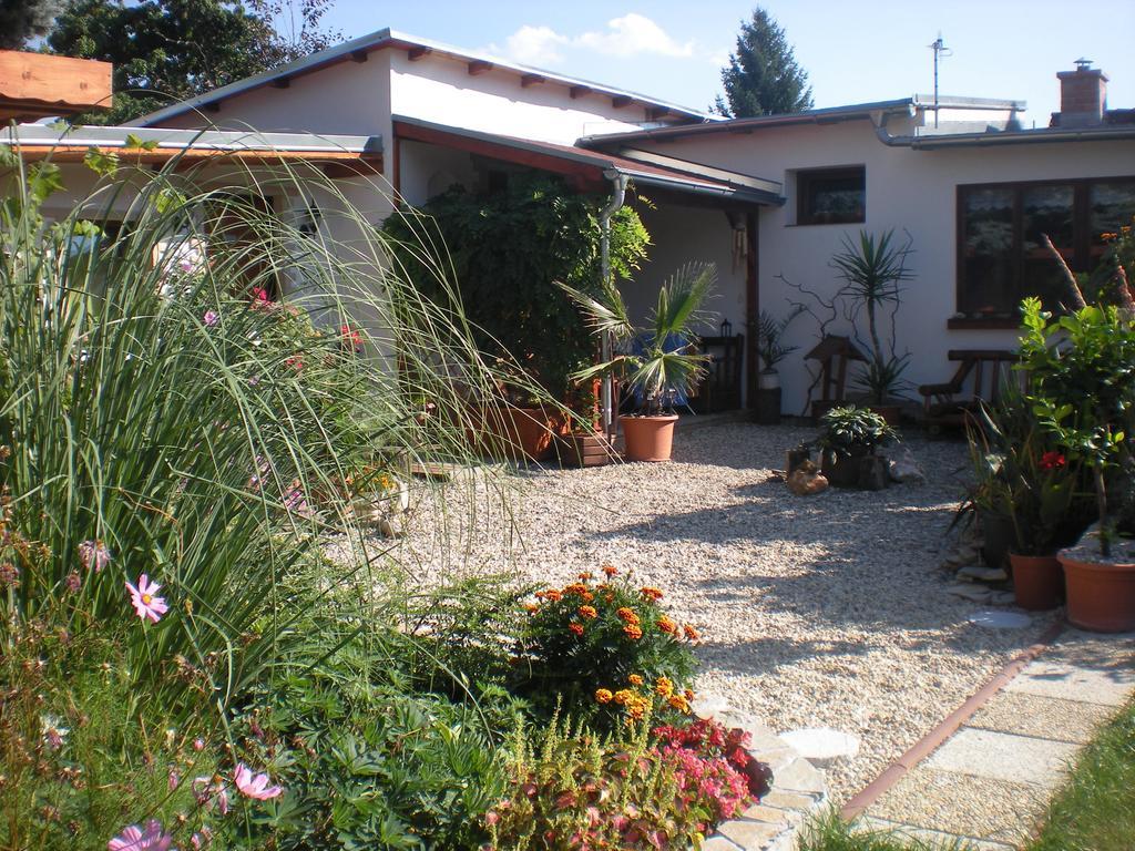 Sophia Cozy Self Catering Apartment Dolni Brezany Exterior photo