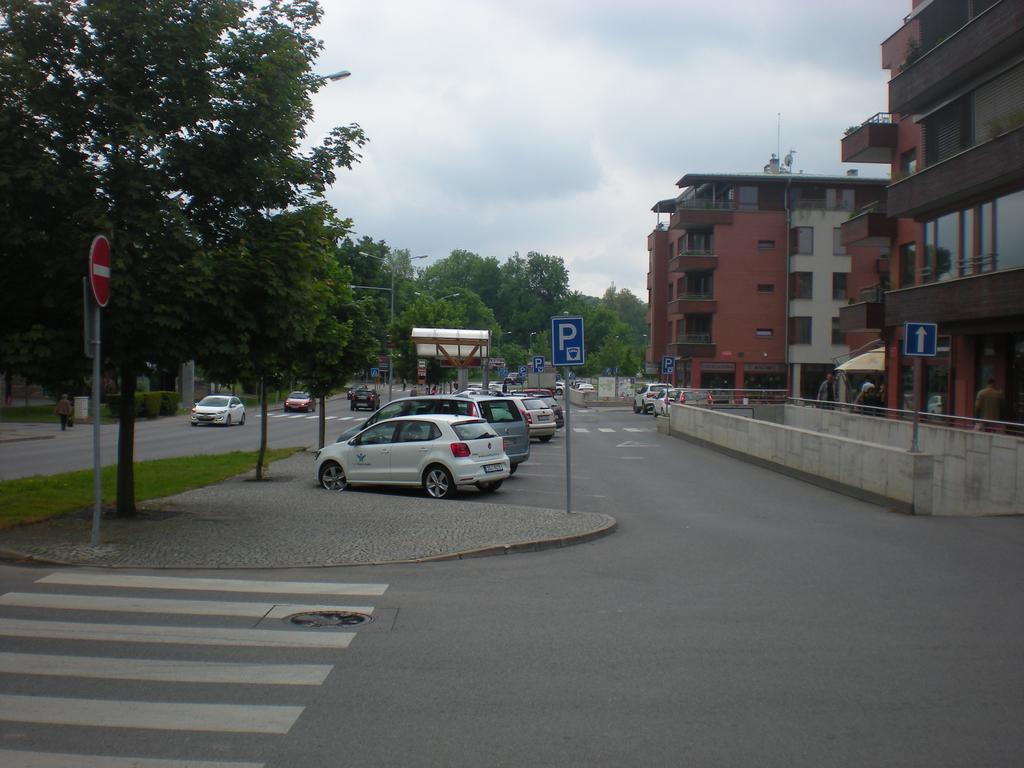 Sophia Cozy Self Catering Apartment Dolni Brezany Exterior photo