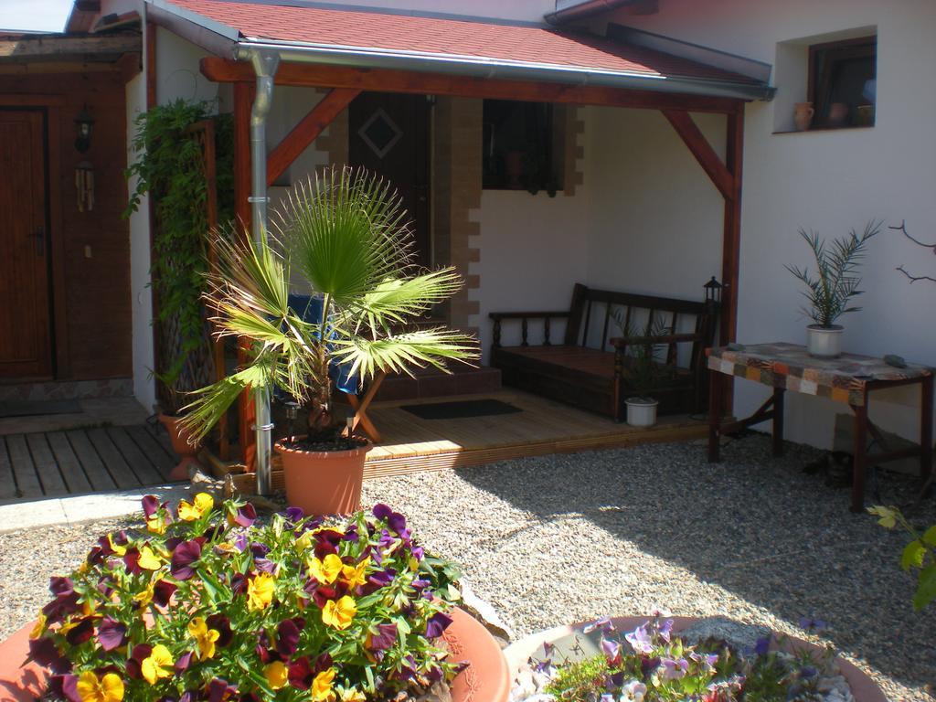 Sophia Cozy Self Catering Apartment Dolni Brezany Exterior photo