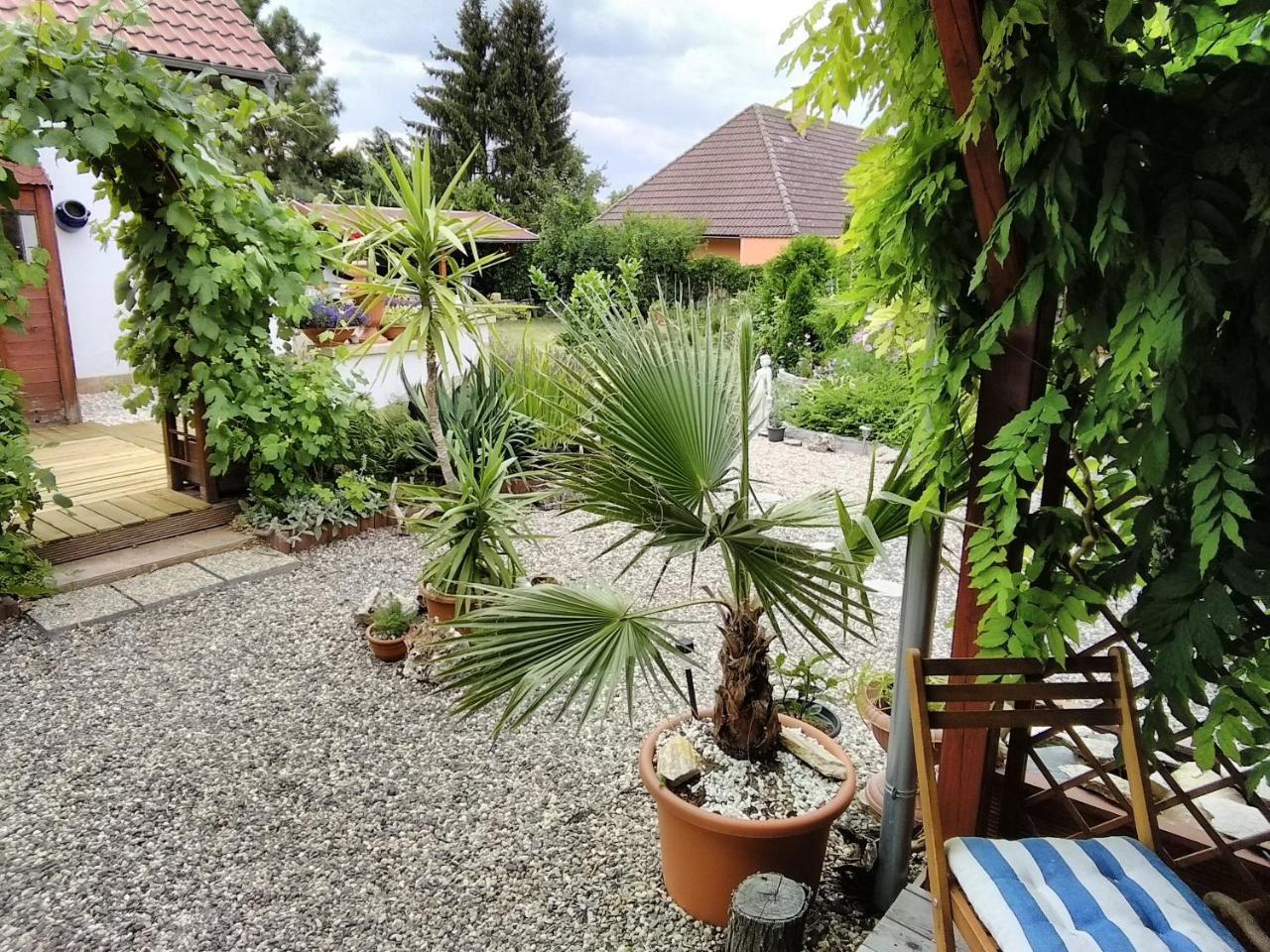 Sophia Cozy Self Catering Apartment Dolni Brezany Exterior photo